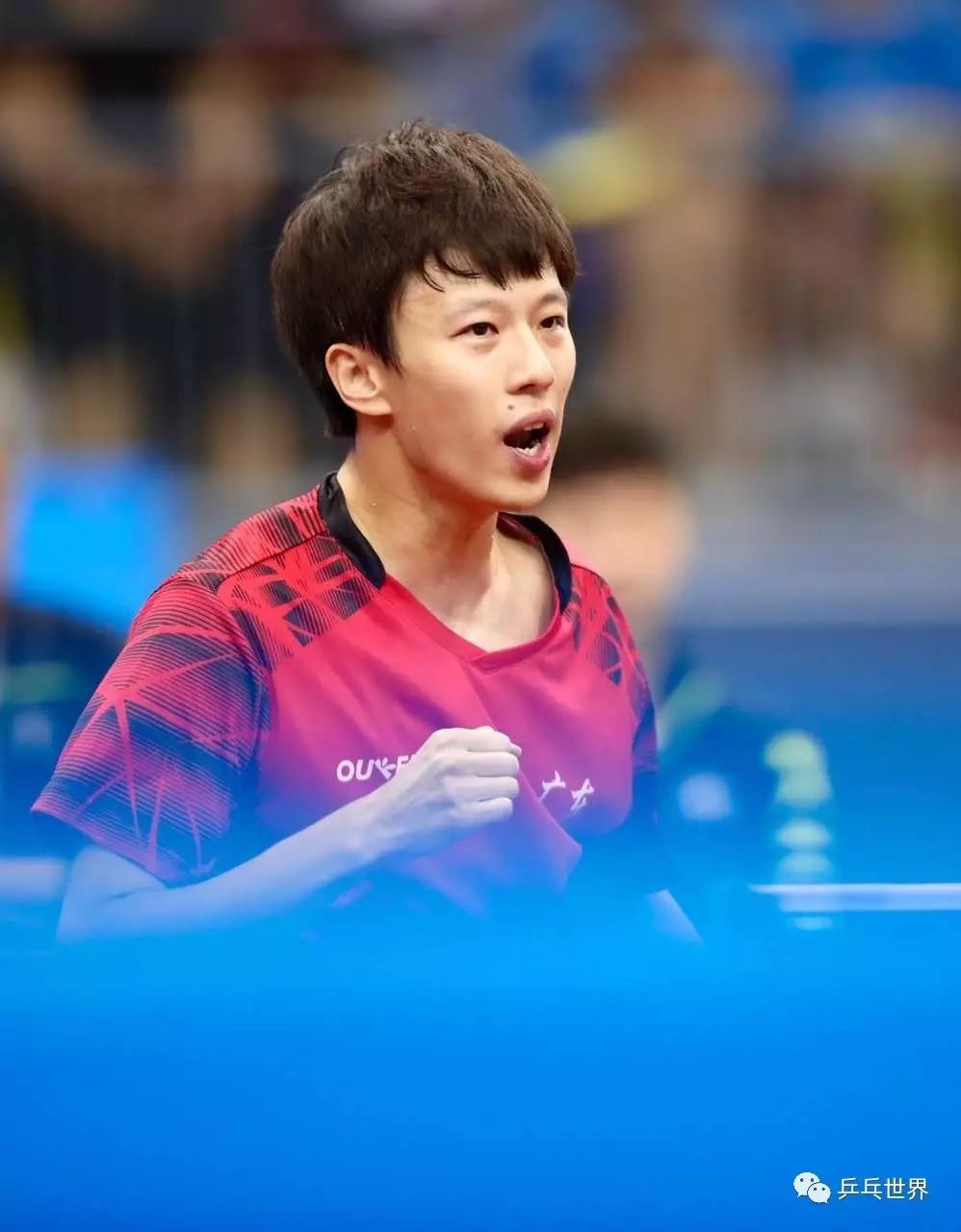 波兰乒乓球队绝杀德国乒乓球队，水谷隼惊艳世界的简单介绍