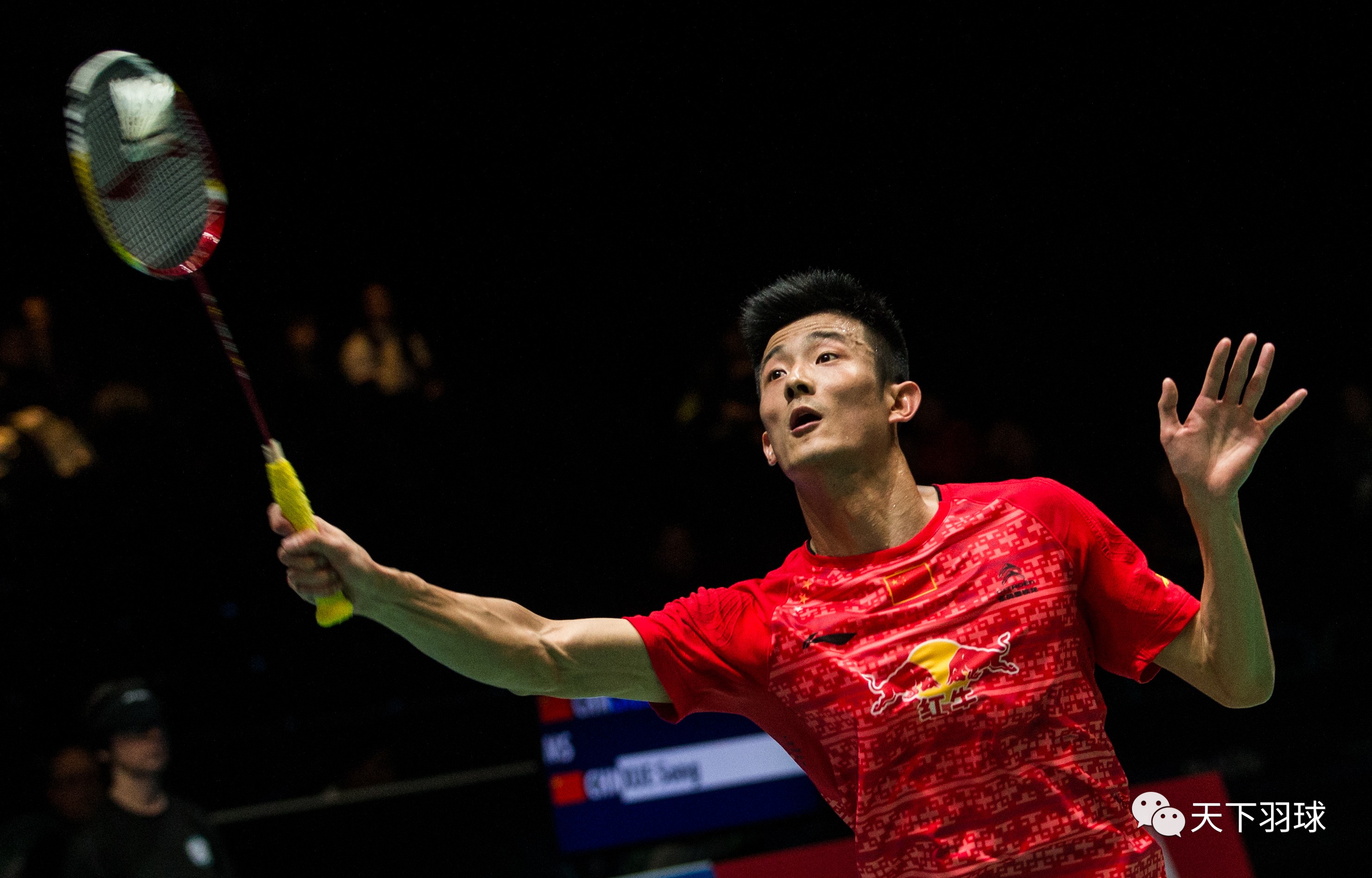 包含法国羽毛球队绝地反击英格兰羽毛球队，谌龙爆发神勇的词条